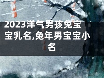 2023洋气男孩兔宝宝乳名,兔年男宝宝小名
