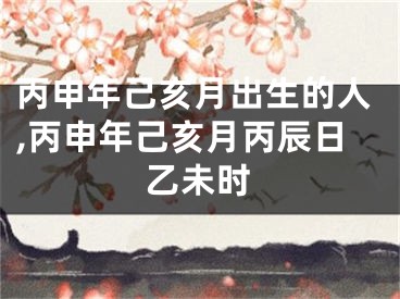 丙申年己亥月出生的人,丙申年己亥月丙辰日乙未时