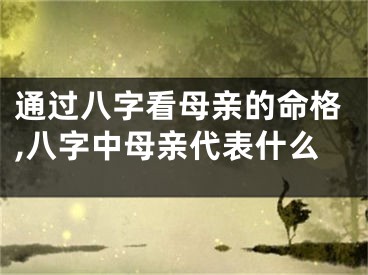 通过八字看母亲的命格,八字中母亲代表什么