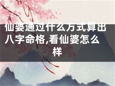 仙婆通过什么方式算出八字命格,看仙婆怎么样