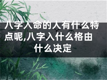 八字入命的人有什么特点呢,八字入什么格由什么决定