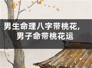 男生命理八字带桃花,男子命带桃花运