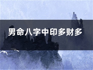 男命八字中印多财多
