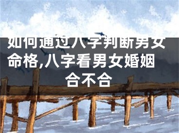 如何通过八字判断男女命格,八字看男女婚姻合不合