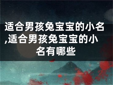 适合男孩兔宝宝的小名,适合男孩兔宝宝的小名有哪些
