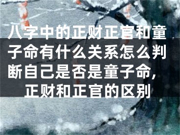 八字中的正财正官和童子命有什么关系怎么判断自己是否是童子命,正财和正官的区别