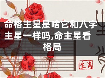 命格主星是啥它和八字主星一样吗,命主星看格局