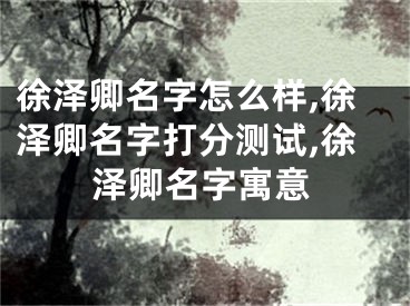 徐泽卿名字怎么样,徐泽卿名字打分测试,徐泽卿名字寓意