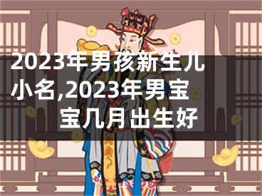 2023年男孩新生儿小名,2023年男宝宝几月出生好