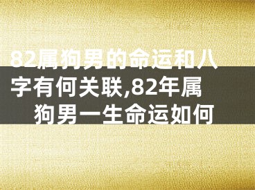 82属狗男的命运和八字有何关联,82年属狗男一生命运如何