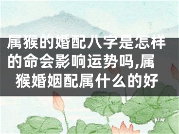 属猴的婚配八字是怎样的命会影响运势吗,属猴婚姻配属什么的好