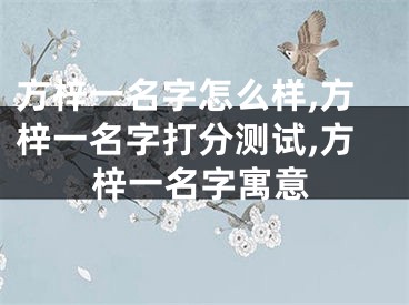 方梓一名字怎么样,方梓一名字打分测试,方梓一名字寓意
