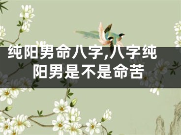 纯阳男命八字,八字纯阳男是不是命苦