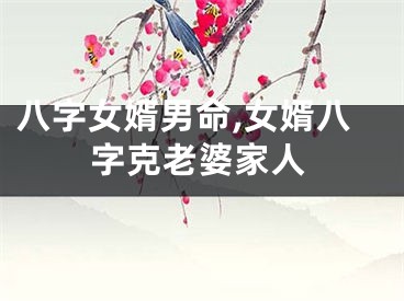 八字女婿男命,女婿八字克老婆家人