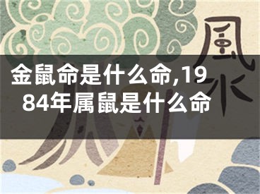 金鼠命是什么命,1984年属鼠是什么命