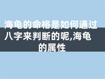 海龟的命格是如何通过八字来判断的呢,海龟的属性