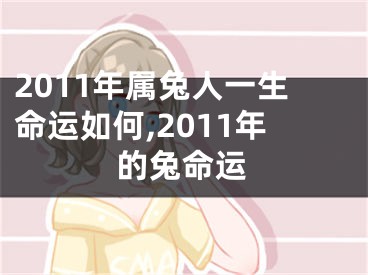 2011年属兔人一生命运如何,2011年的兔命运