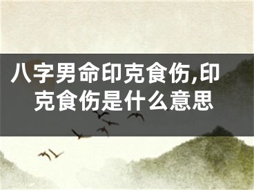 八字男命印克食伤,印克食伤是什么意思
