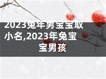 2023兔年男宝宝取小名,2023年兔宝宝男孩
