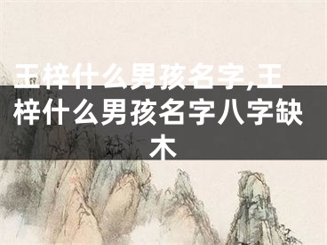 王梓什么男孩名字,王梓什么男孩名字八字缺木