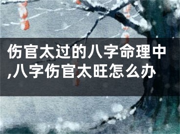 伤官太过的八字命理中,八字伤官太旺怎么办