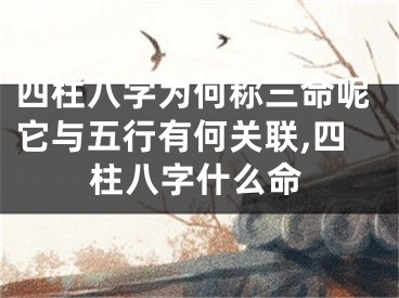 四柱八字为何称三命呢它与五行有何关联,四柱八字什么命