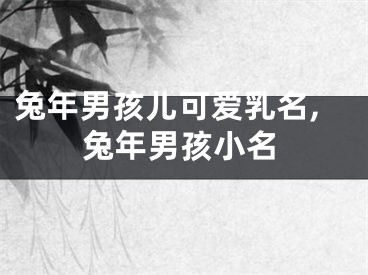 兔年男孩儿可爱乳名,兔年男孩小名