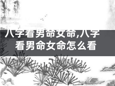 八字看男命女命,八字看男命女命怎么看