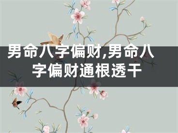 男命八字偏财,男命八字偏财通根透干
