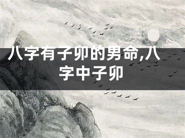 八字有子卯的男命,八字中子卯