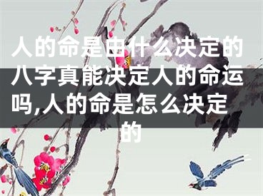 人的命是由什么决定的八字真能决定人的命运吗,人的命是怎么决定的