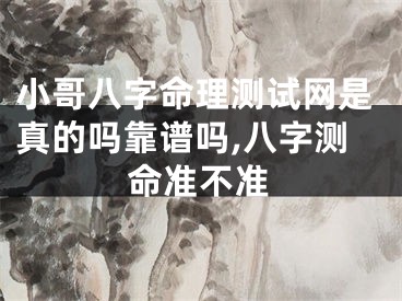 小哥八字命理测试网是真的吗靠谱吗,八字测命准不准