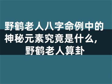 野鹤老人八字命例中的神秘元素究竟是什么,野鹤老人算卦