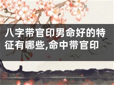 八字带官印男命好的特征有哪些,命中带官印