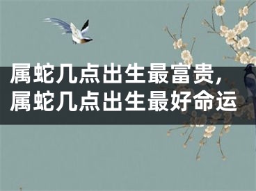 属蛇几点出生最富贵,属蛇几点出生最好命运