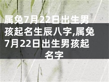 属兔7月22日出生男孩起名生辰八字,属兔7月22日出生男孩起名字