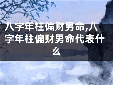 八字年柱偏财男命,八字年柱偏财男命代表什么