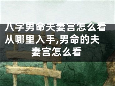 八字男命夫妻宫怎么看从哪里入手,男命的夫妻宫怎么看