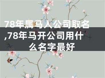 78年属马人公司取名,78年马开公司用什么名字最好