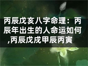 丙辰戊亥八字命理：丙辰年出生的人命运如何,丙辰戊戌甲辰丙寅