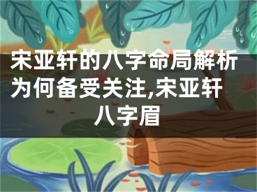 宋亚轩的八字命局解析为何备受关注,宋亚轩八字眉