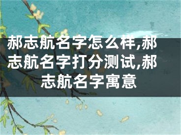 郝志航名字怎么样,郝志航名字打分测试,郝志航名字寓意