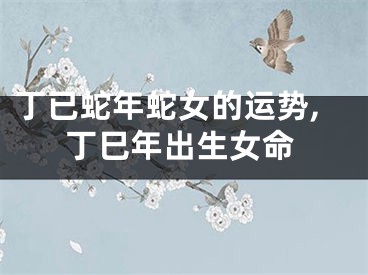 丁已蛇年蛇女的运势,丁巳年出生女命