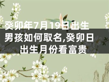 癸卯年7月19日出生男孩如何取名,癸卯日出生月份看富贵