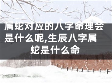 属蛇对应的八字命理会是什么呢,生辰八字属蛇是什么命