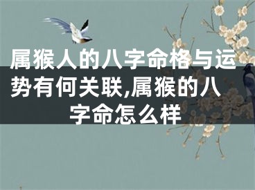 属猴人的八字命格与运势有何关联,属猴的八字命怎么样