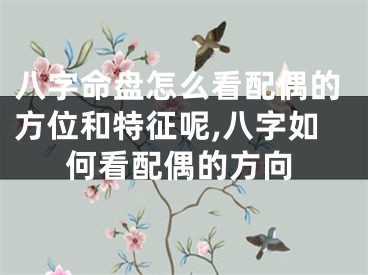 八字命盘怎么看配偶的方位和特征呢,八字如何看配偶的方向