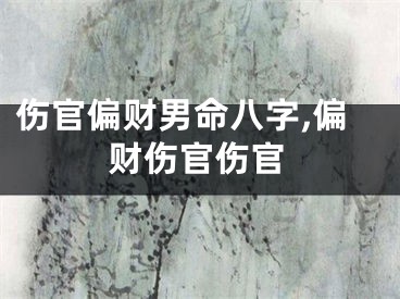 伤官偏财男命八字,偏财伤官伤官