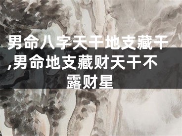 男命八字天干地支藏干,男命地支藏财天干不露财星