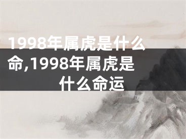1998年属虎是什么命,1998年属虎是什么命运